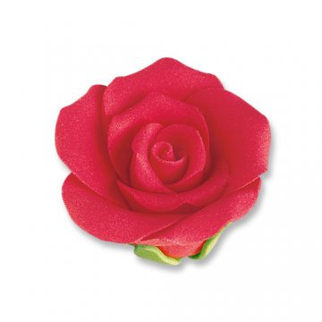 ROSE ZUCCHERO MEDIE ROSSE