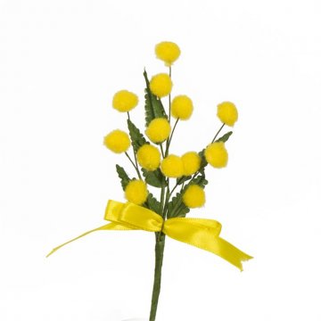 MIMOSA WFD PZ.48 CM12