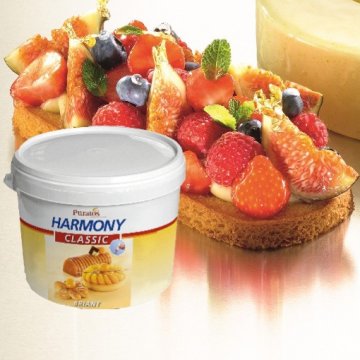 HARMONY CLASSIC BRIANT KG 14