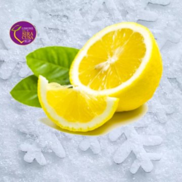 *SUCCO DI LIMONE IGP DI SIRACUSA CONF. 1 KG X12