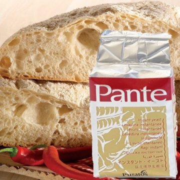 LIEVITO SECCO PANTE RED GR 500