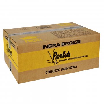 CONDIMENTO PANLUS KG 25