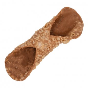 CANNOLI SICILIANI PALERMITANA MEDIO CHIARO 13,5cm  PZ100